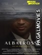 Albatross (2022) Bengali Dubbed