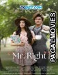 Mr Right (2023) Hollywood Hindi Dubbed Full Movie