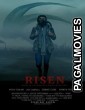 Risen (2021) English Movie