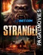 Stranded (2023) Hollywood Hindi Dubbed Full Movie