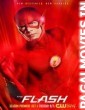 The Flash (2014) English Movie