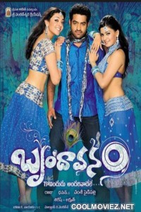 Brindavanam (2010) Full South Indian Hindi Dubbed Movie