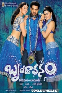 Brindavanam (2010) Hindi Dubbed Movie