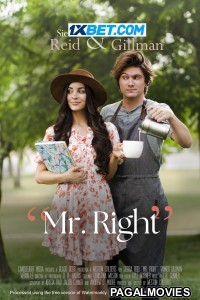 Mr Right (2023) Hollywood Hindi Dubbed Full Movie